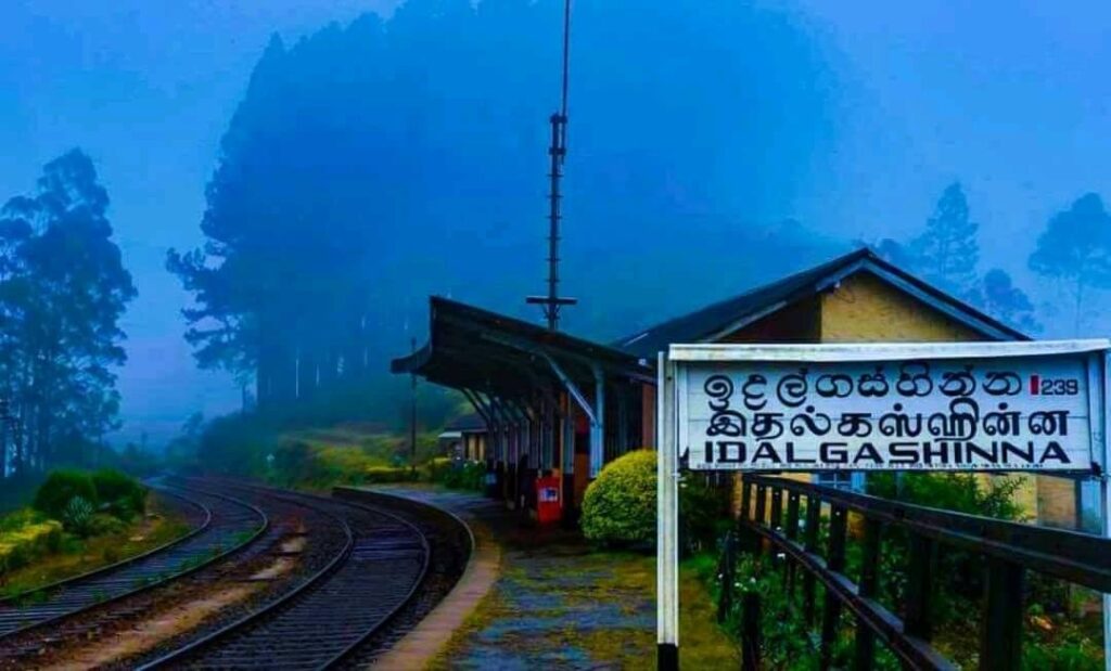 Top Tourist Attractions in Ella, Sri Lanka 