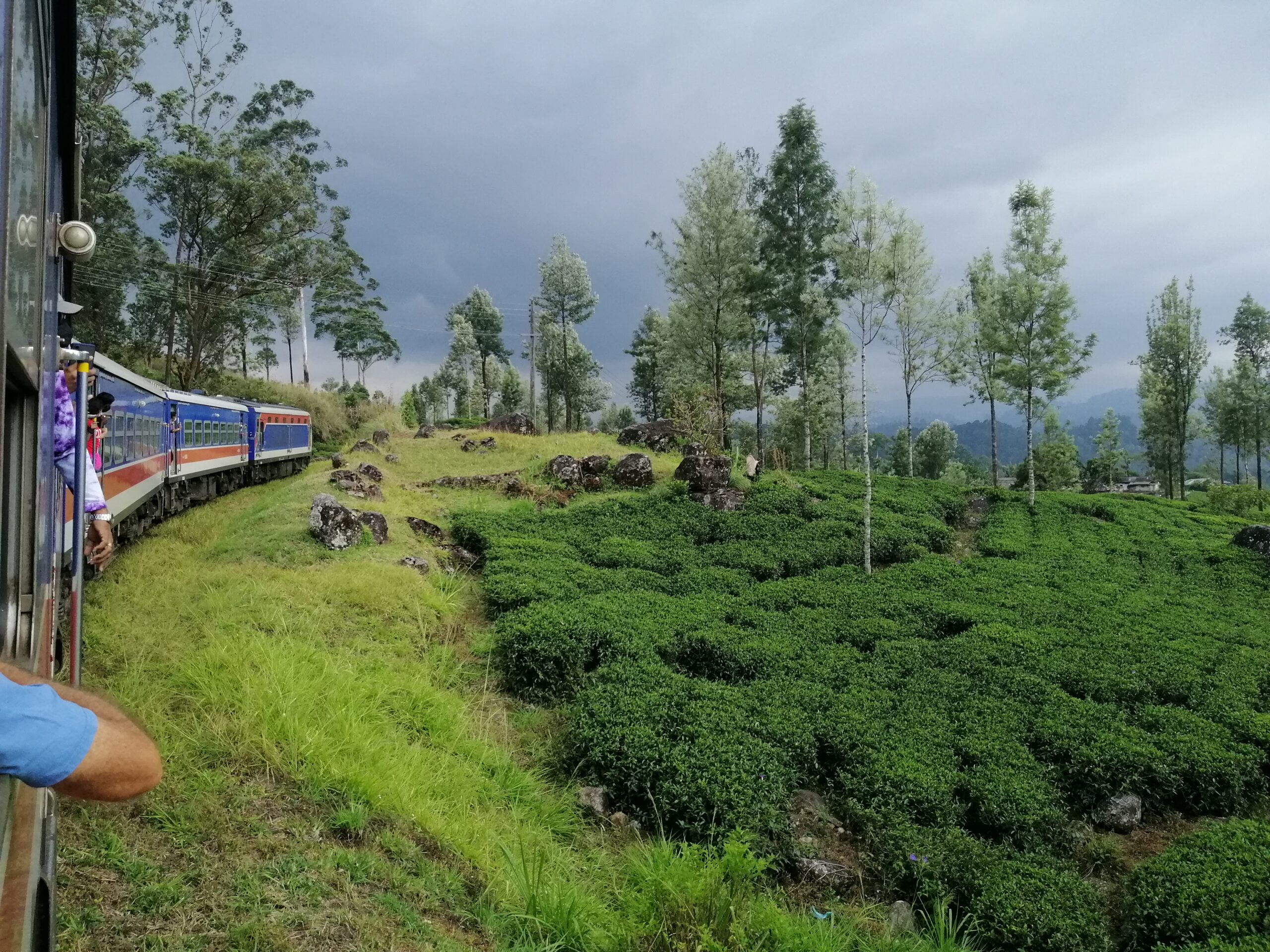 Amazing Things to do in Ella, Sri Lanka 