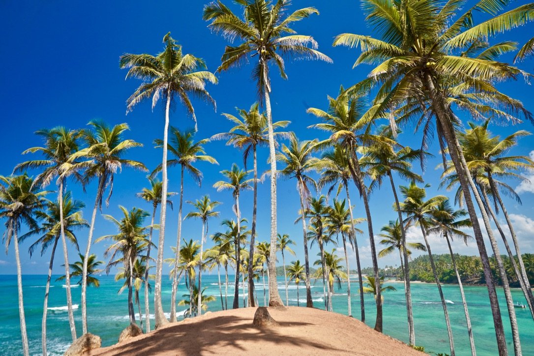 THE 10 BEST Beaches in Sri Lanka